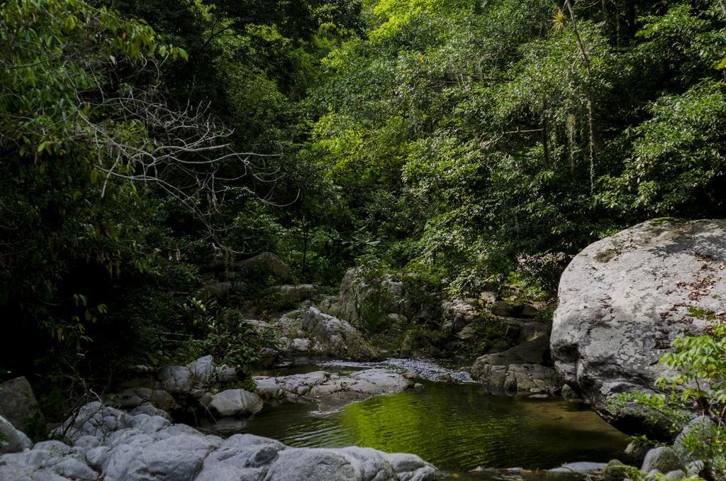 Tayrona Paradise Villa เอลไซโน ภายนอก รูปภาพ
